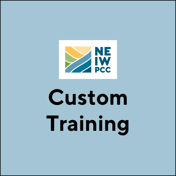 Custom Training