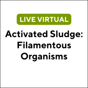 Activated Sludge: Filamentous Organisms (26S-ETC103) (3 TCHs)